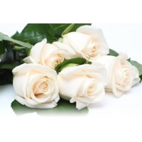 Букет из 5 роз - заказать доставку цветов онлайн
