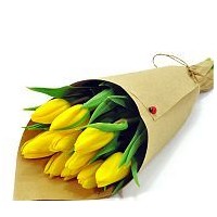 Букет из 11 тюльпанов  - заказать доставку цветов онлайн