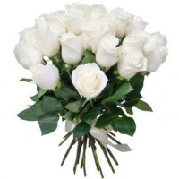 Моно букет из 25 белых роз