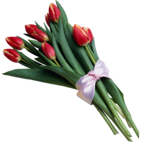 Букет из 9 тюльпанов - заказать доставку цветов онлайн