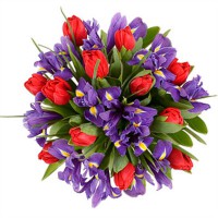 Вероника - заказать доставку цветов онлайн